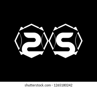 Initial SS Letter Isolated Abstract Illusion Geometric Shape Logotype