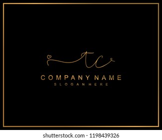 Initial T C handwriting logo template vector