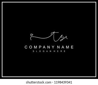 Initial T S handwriting logo template vector