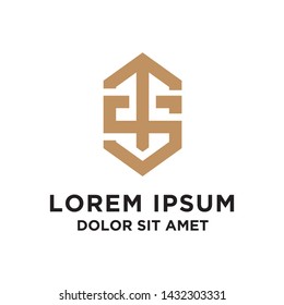 initial T and S logo design with geometric style