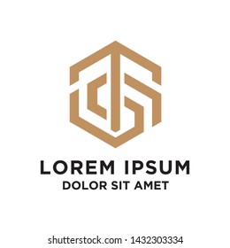 initial T and S logo design with geometric style