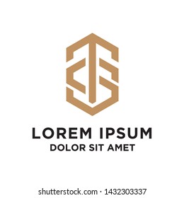 initial T and S logo design with geometric style