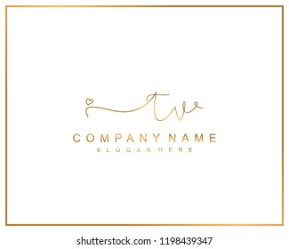Initial T V handwriting logo template vector