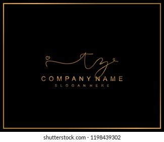 Initial T Z handwriting logo template vector