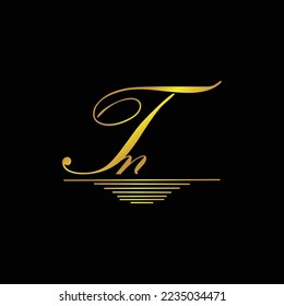 Initial TN logo signature elegant gold element