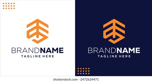 Initial TS letter logo hexagon monogram, Design Inspiration, Illustration, Vector