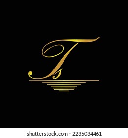Initial TS logo signature elegant gold element