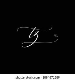 Initial TZ logo handwriting business illustration fashion simple