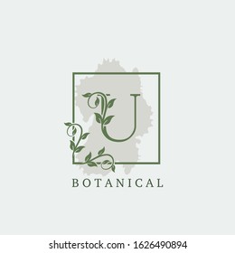 Initial U Letter Logo Botanical Nature Leaf,  vector design concept square Frame with alphabet letter logo icon for  nature business.