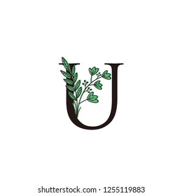 Initial U letter logo with Green Flower design 