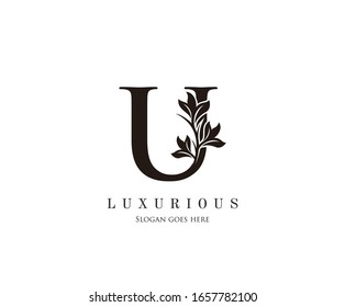 Initial U letter luxury beauty flourishes ornament monogram logo