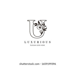 Initial U letter luxury beauty flourishes ornament monogram logo perfect for boutique, wedding invitation, restaurant,hotel.