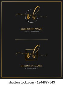 Initial V B handwriting logo vector. Letter handwritten logo template.