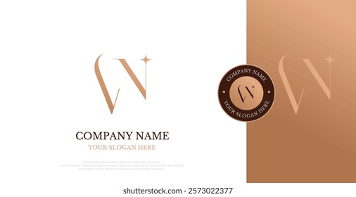 Initial VN Logo Design Vector Elegant 