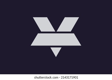 Initial VT TV modern monogram and elegant logo design, Professional Letters Vector Icon Logo on luxury background.