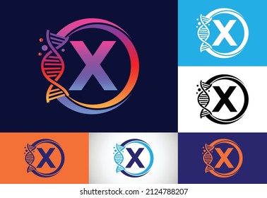 Initial X monogram alphabet in a circle with DNA. Genetics logo design concept. Logo for medicine, science, laboratory, business, and company identity