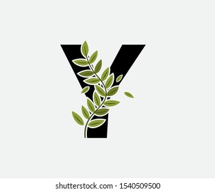 Initial Y Letter Logo Icon,  Created with Green Plant Branches. Nature Green Plant Y Letter Design. 
