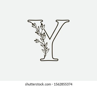 Initial Y Letter Logo Icon,  Created with Hand Drawn Plant Branches. Nature Leaf Y Letter Design 