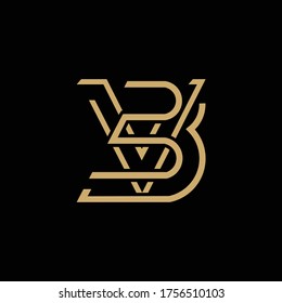 initials BV logo design minimalist letter vector