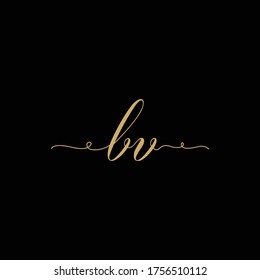 initials BV logo design minimalist letter vector