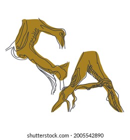 Initials CA from letters depicting roots. Eco design header elements logo. Handmade alphabet