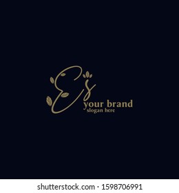 Initials Es Logo Creative Template Sign Vector