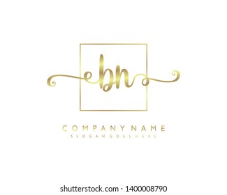initials letter BN handwriting logo vector template