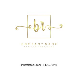 initials letter BR handwriting logo vector template