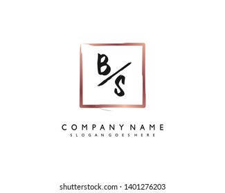 initials letter BS handwriting logo vector template