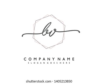 initials letter BV handwriting logo vector template