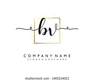 initials letter BV handwriting logo vector template