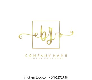 initials letter BZ handwriting logo vector template