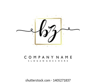initials letter BZ handwriting logo vector template