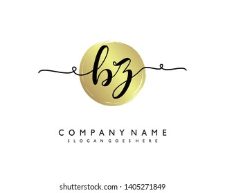 initials letter BZ handwriting logo vector template