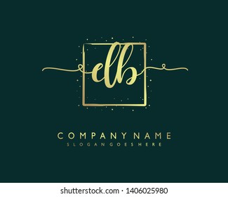initials letter DB handwriting logo vector template