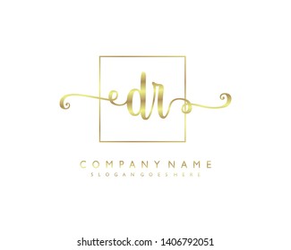 initials letter DR handwriting logo vector template