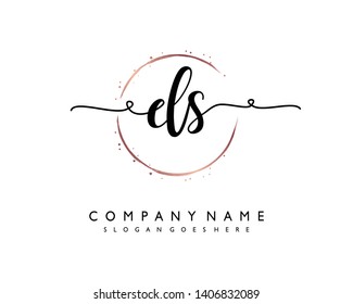 initials letter DS handwriting logo vector template