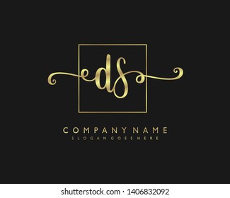 initials letter DS handwriting logo vector template