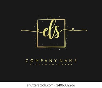 initials letter DS handwriting logo vector template