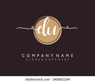 initials letter DU handwriting logo vector template