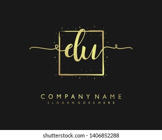initials letter DU handwriting logo vector template