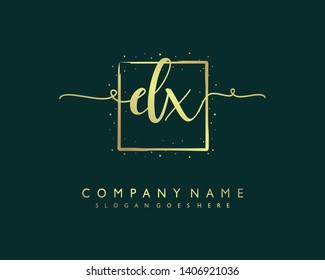initials letter DX handwriting logo vector template
