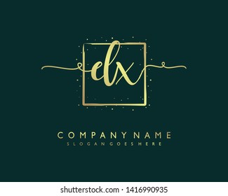 initials letter DX handwriting logo vector template