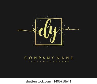 initials letter DY handwriting logo vector template