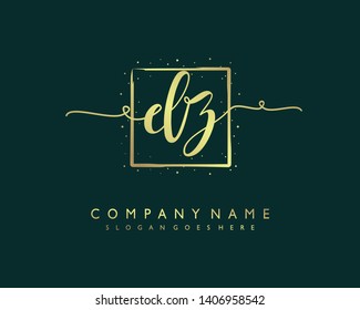 initials letter DZ handwriting logo vector template