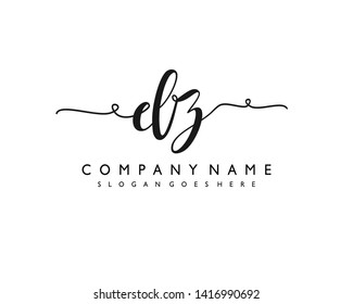 initials letter DZ handwriting logo vector template