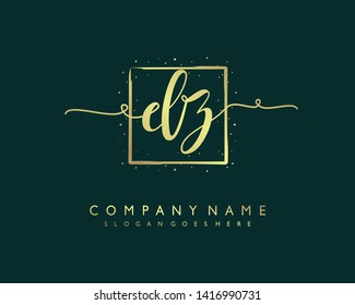 initials letter DZ handwriting logo vector template
