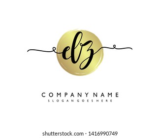 initials letter DZ handwriting logo vector template