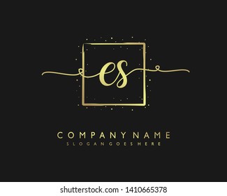 initials letter ES handwriting logo vector template
