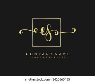 initials letter ES handwriting logo vector template